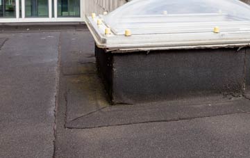 disadvantages of Alsop En Le Dale flat roofs