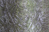 Alsop En Le Dale fibreglass roof work